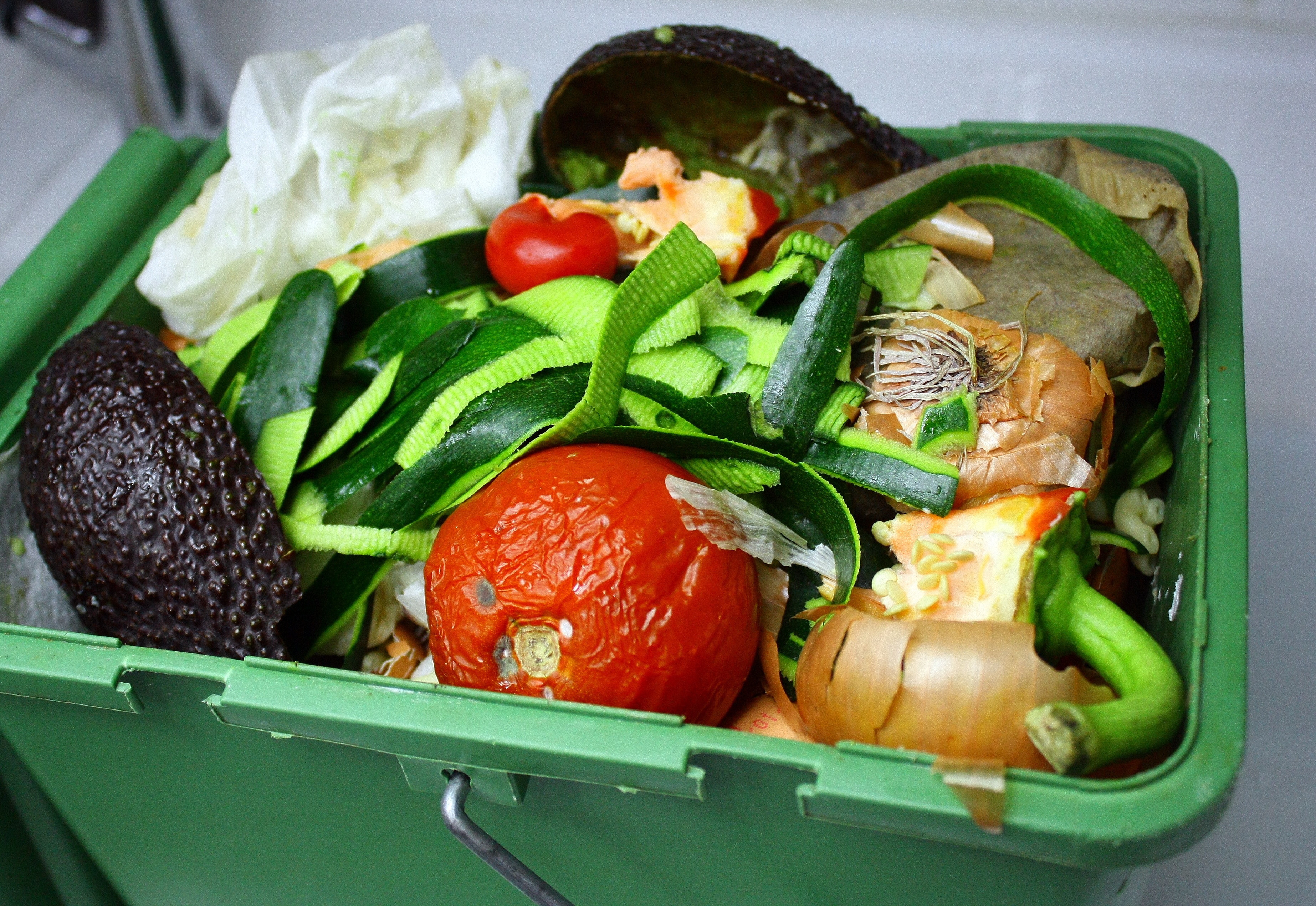 Can Food Waste Be Recycled